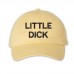 Little dick