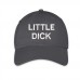 Little dick