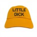 Little dick