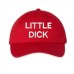 Little dick