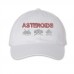 Asteroids